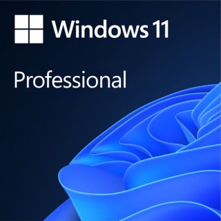 Windows 11 Pro 64Bit Eng Intl 1pk DSP OEI DVD